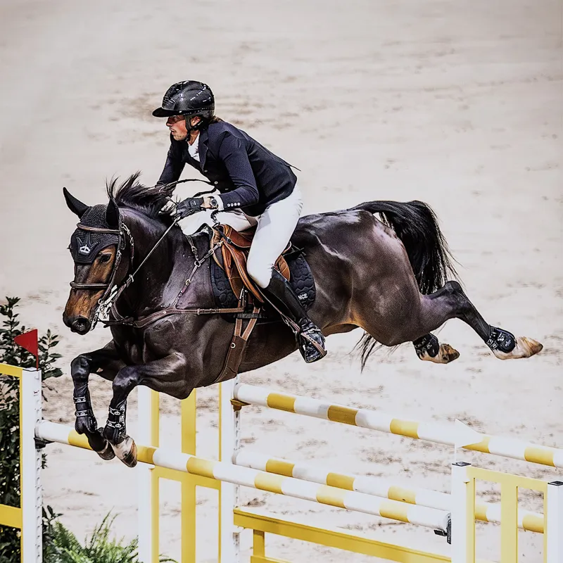 Veredus Pro Jump Active Elastic Rear Fetlock Boots - Black-4