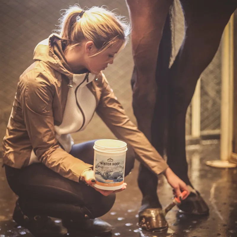 Veredus Winter Hoof-1