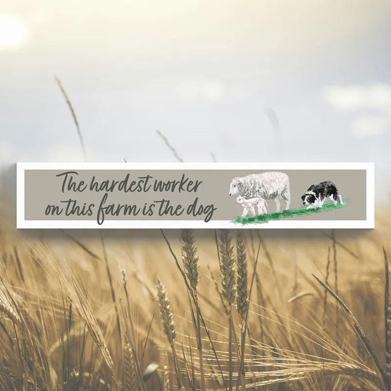 Vivid Squid Momento Block - Hardest Worker