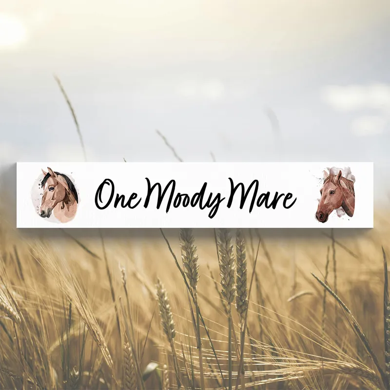 Vivid Squid Momento Block - One Moody Mare