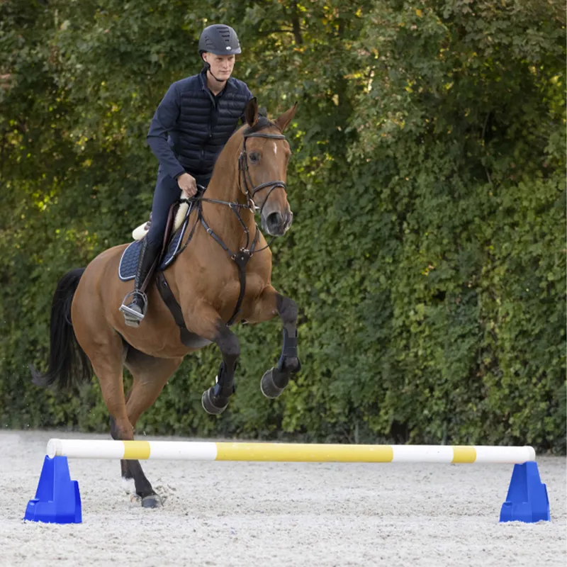 Waldhausen Cavaletti Block - Blue-1