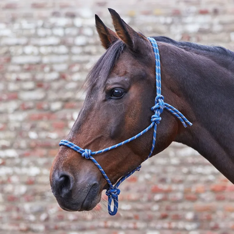Rope halter shop