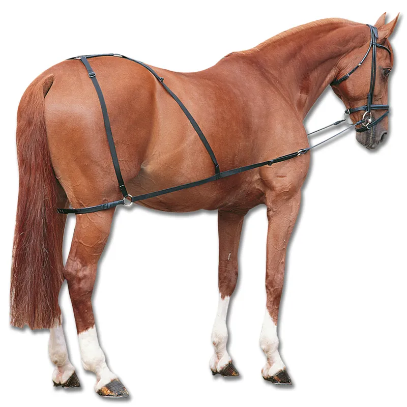 Waldhausen Combi Trainer Side Reins - Black