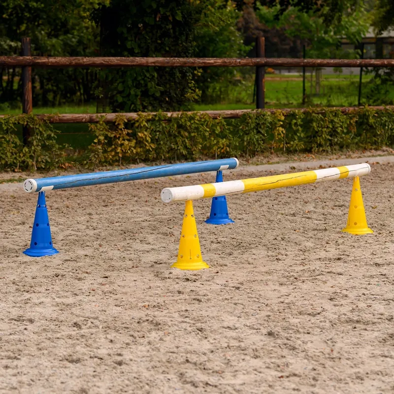 Waldhausen Pole Supports for XL Training Cones-1