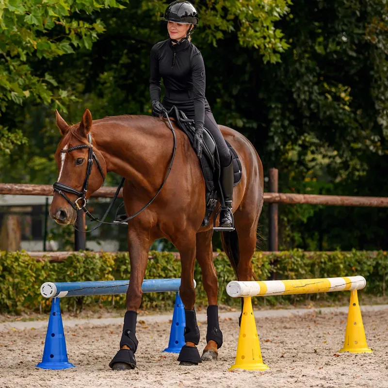 Waldhausen Pole Supports for XL Training Cones-2