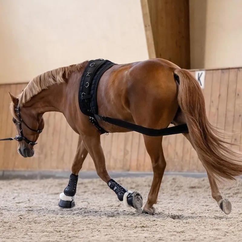 Waldhausen Horse Body Bandage - Black-1