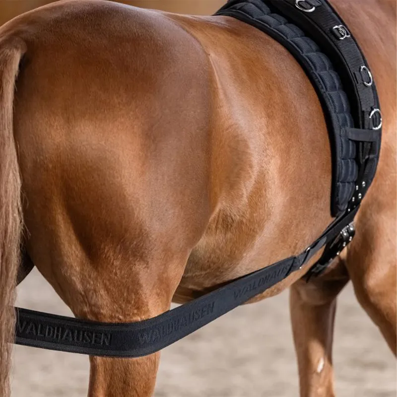 Waldhausen Horse Body Bandage - Black-3