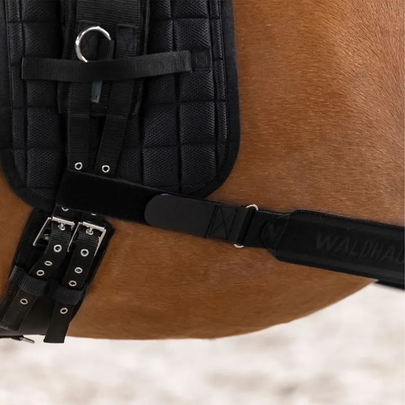 Waldhausen Horse Body Bandage - Black-4