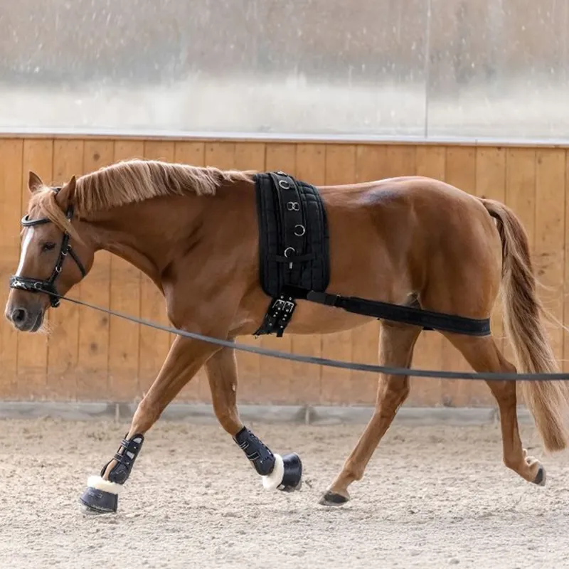 Waldhausen Horse Body Bandage - Black