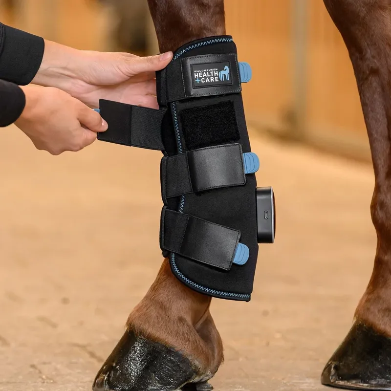 Waldhausen Health + Care TecSupreme Tendon Stable Boot - Black-2