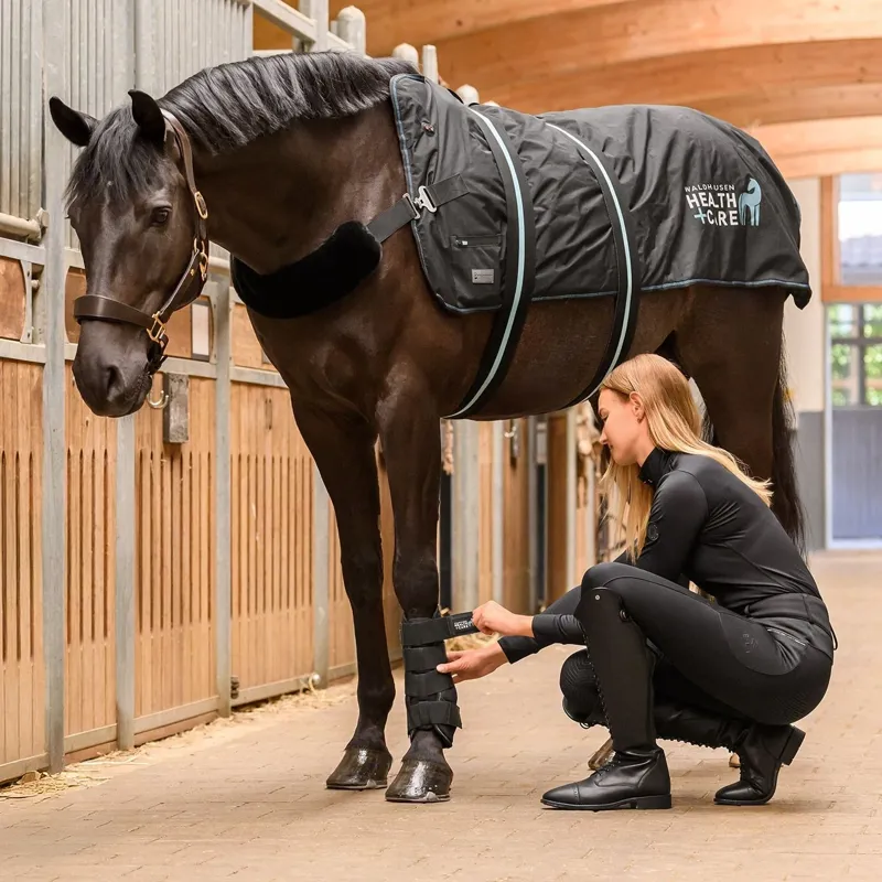 Waldhausen Health + Care TecSupreme Tendon Stable Boot - Black-3