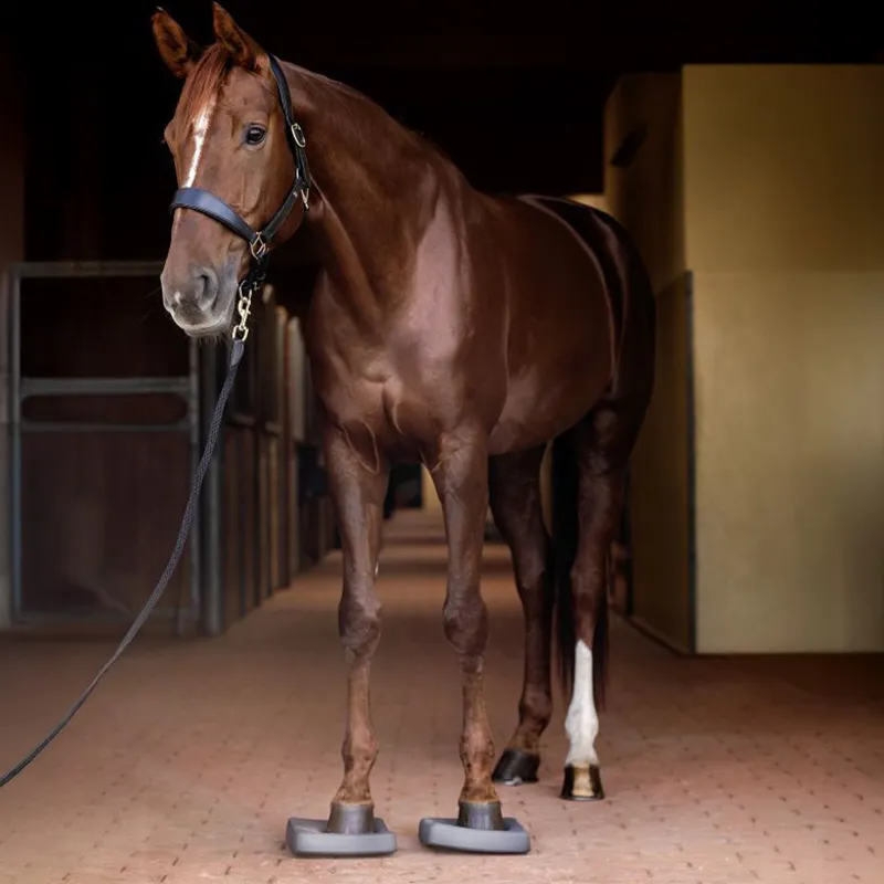 Waldhausen Health + Care Balance Pads Pair - Grey-4