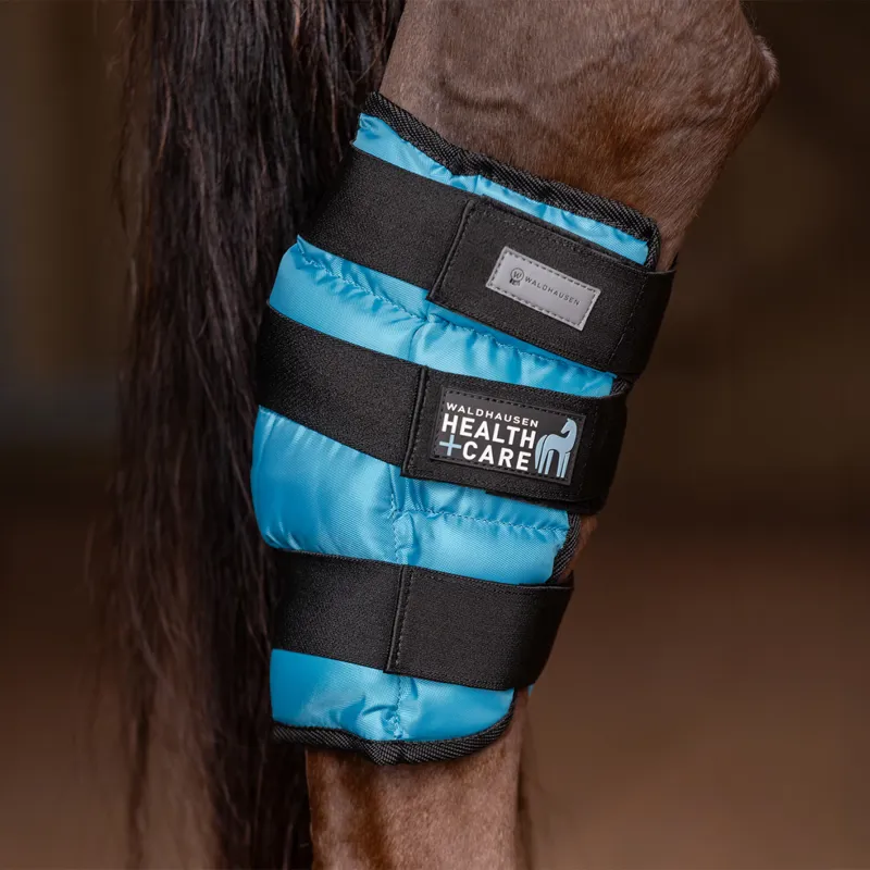 Waldhausen Health + Care Cooling Hock Boot - Teal-1