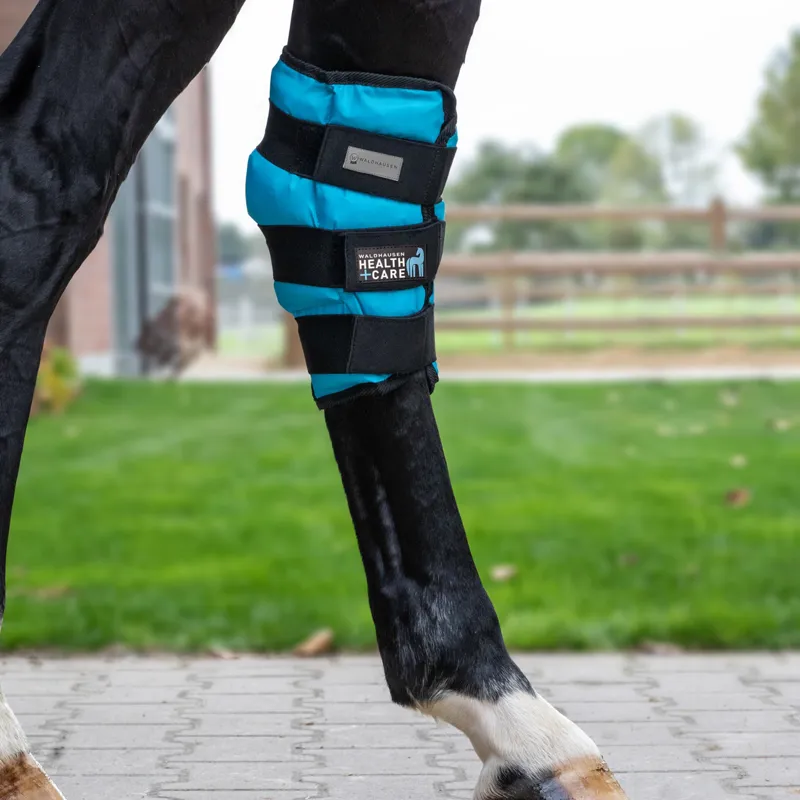Waldhausen Health + Care Cooling Hock Boot - Teal-2