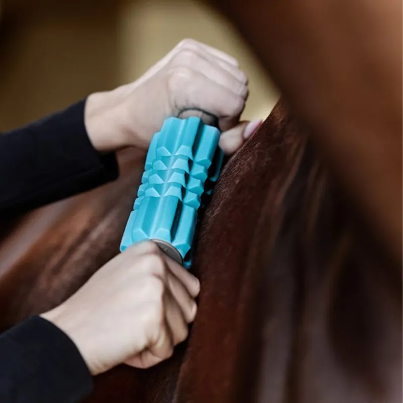 Waldhausen Health + Care Fascia Fit Roller - Blue-2