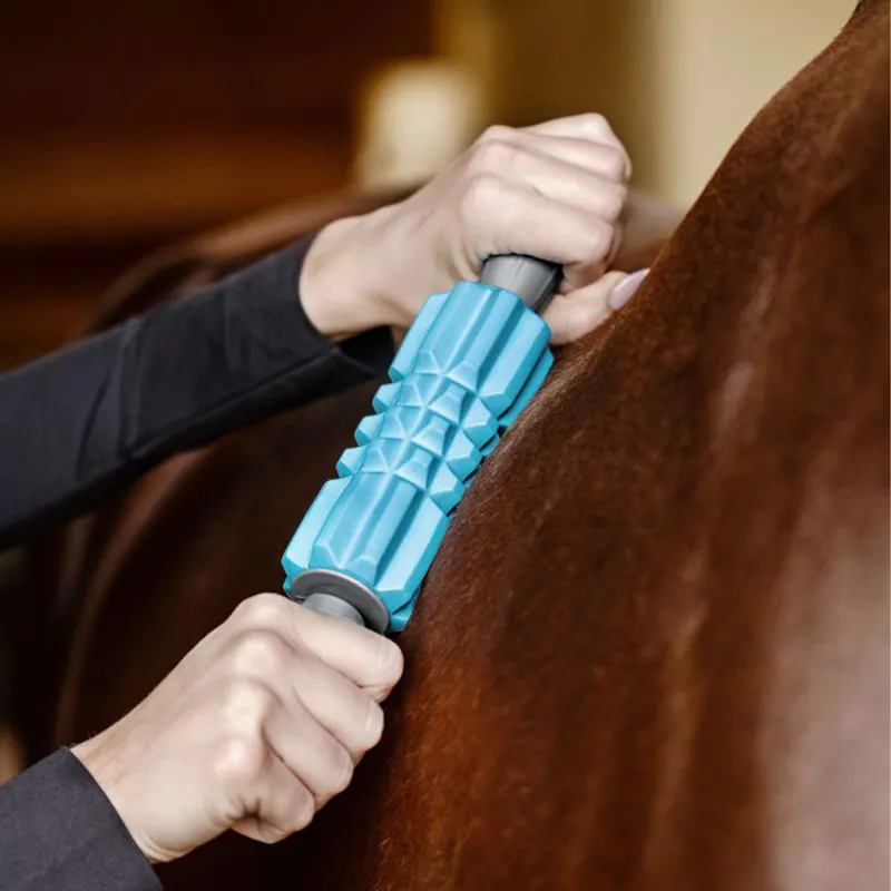 Waldhausen Health + Care Fascia Fit Roller - Blue-1