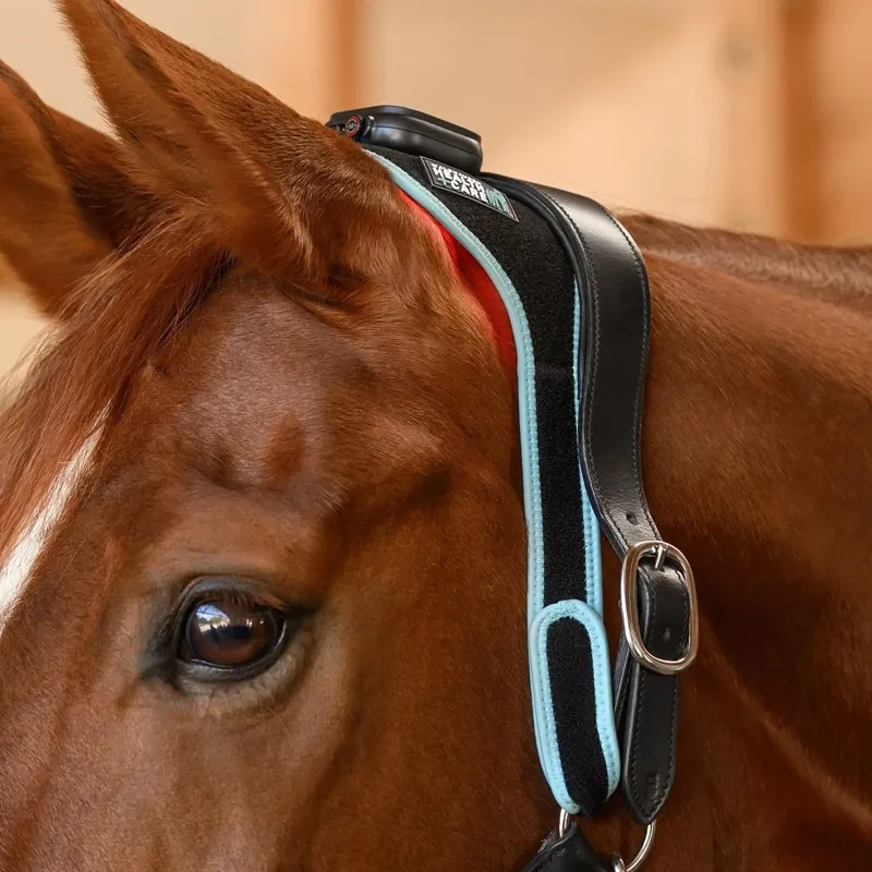 Waldhausen Health + Care Infrared FlexPad - Black-1