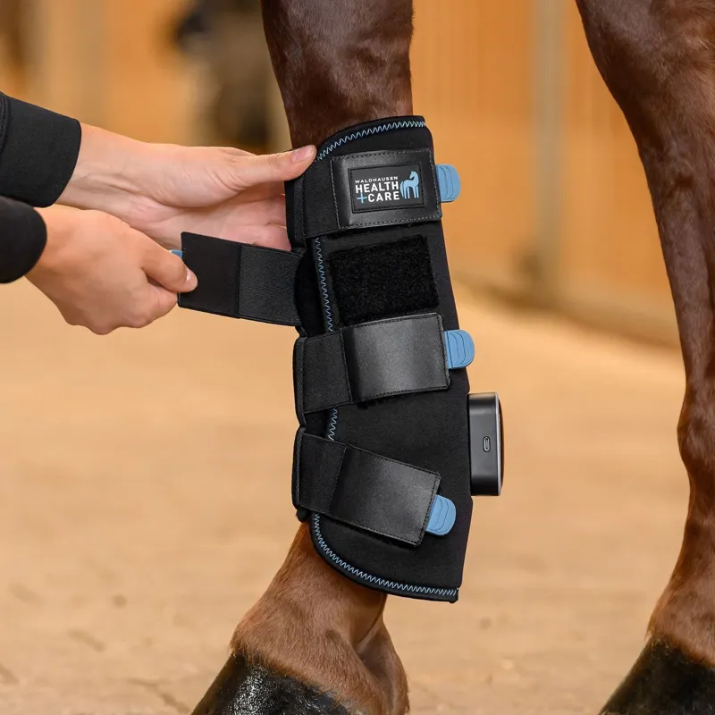 Waldhausen Health + Care TecSupreme Tendon Boots - Black-3
