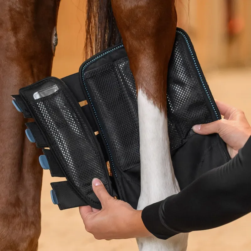 Waldhausen Health + Care TecSupreme Tendon Boots - Black-6