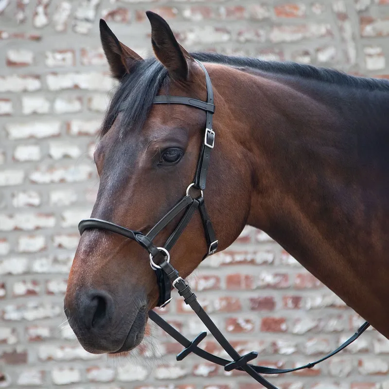 Waldhausen Linda Tellington-Jones Lindell Bitless Bridle - Black-1