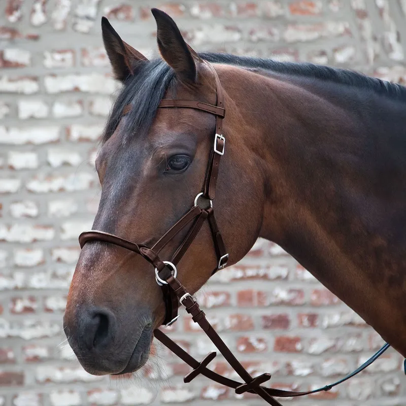 Waldhausen Linda Tellington-Jones Lindell Bitless Bridle - Brown-1