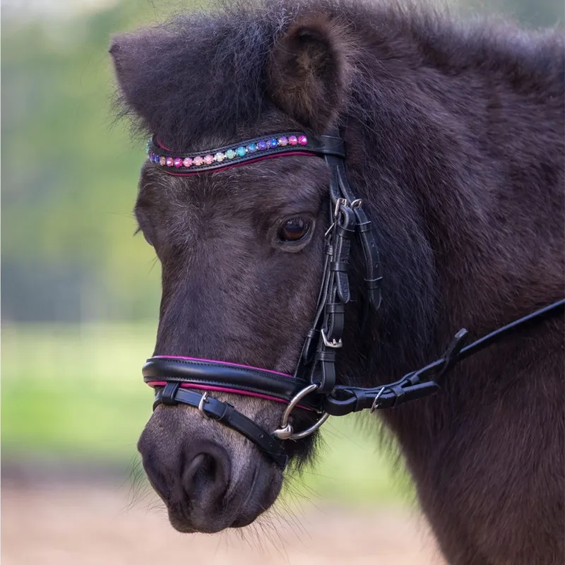 STAR Pinky Flash Bridle with Reins - Black-1