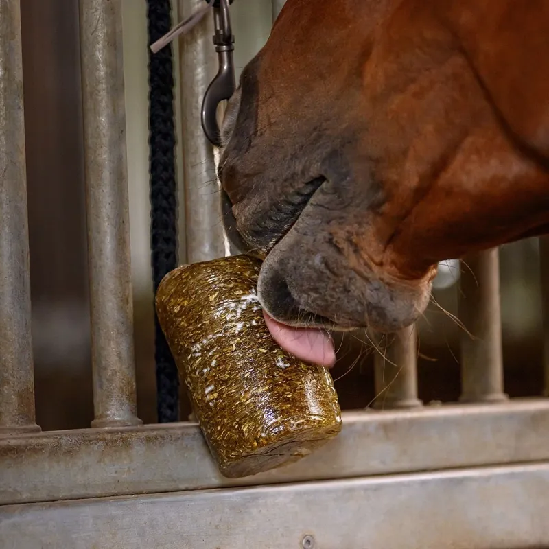 Waldhausen StableSnack 1kg Herbal Lick-1