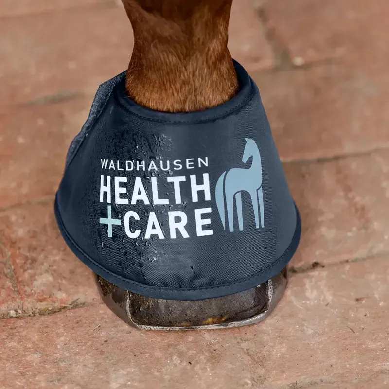 Waldhausen Health+Care Water Overreach Boots - Blue