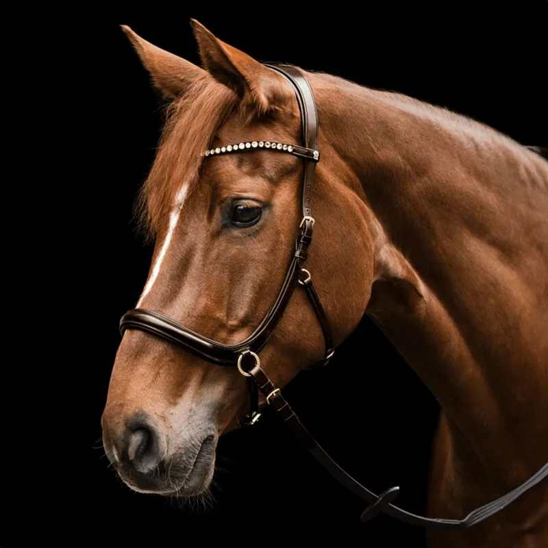 Waldhausen X-Line Sensation Bitless Bridle with Reins - Brown-1