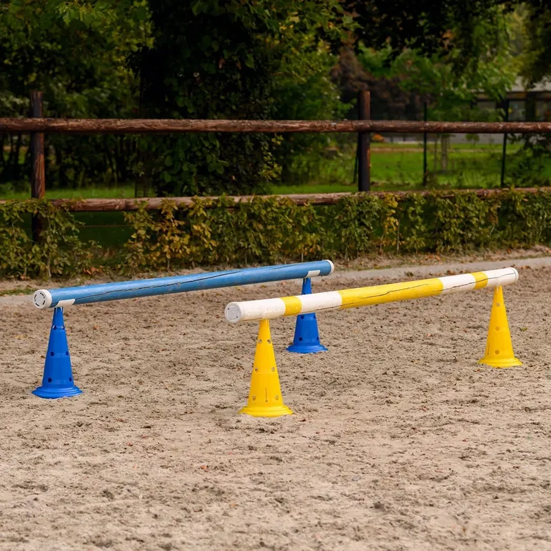 Waldhausen XL Training Cones 8 Pack - Blue/Yellow-3