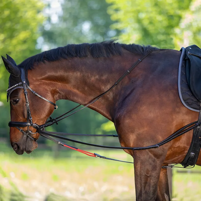 Waldhausen W-TrainRein Leather Draw Reins - Black-1