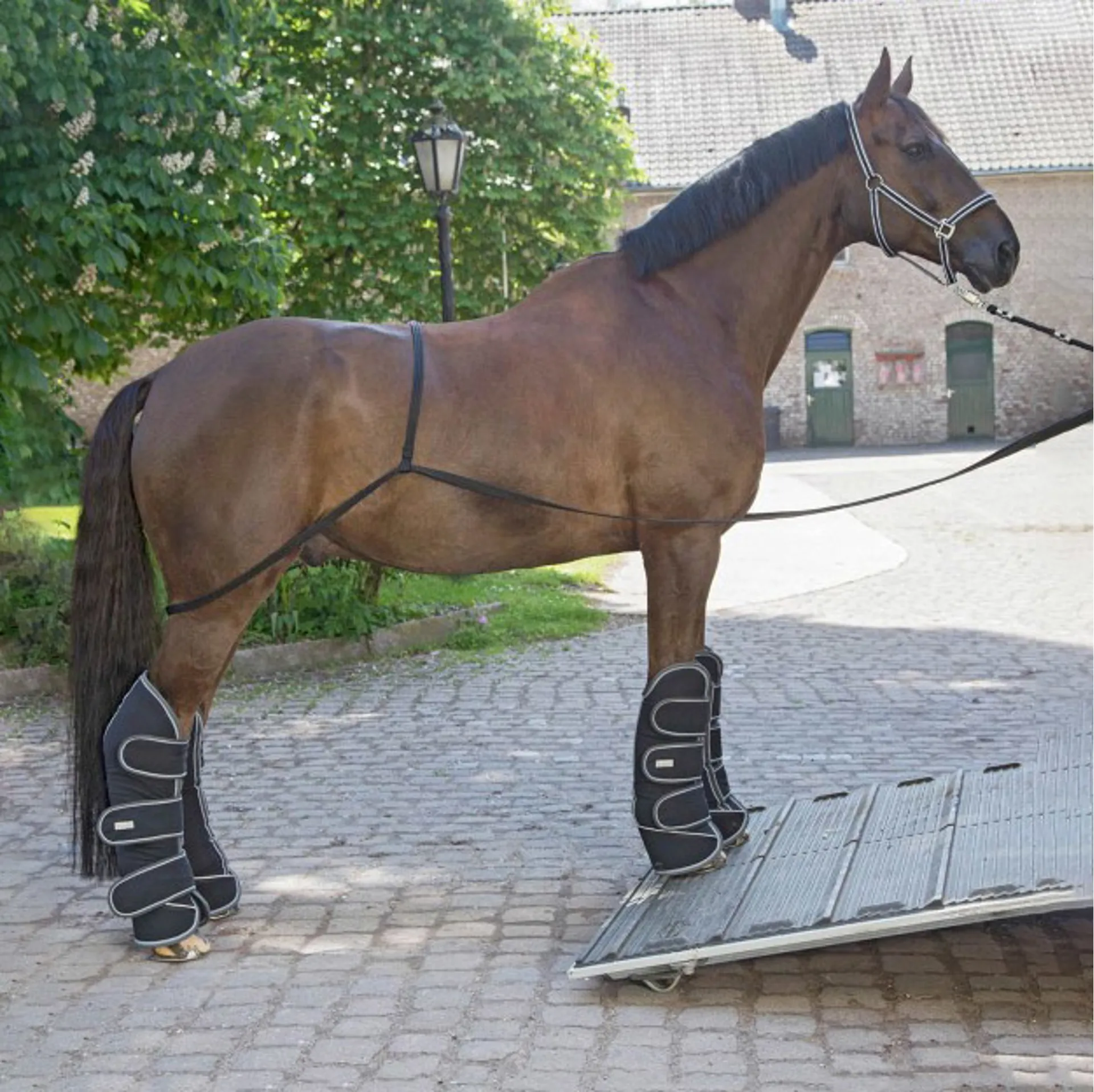 Waldhausen Loading Training Aid System - Black