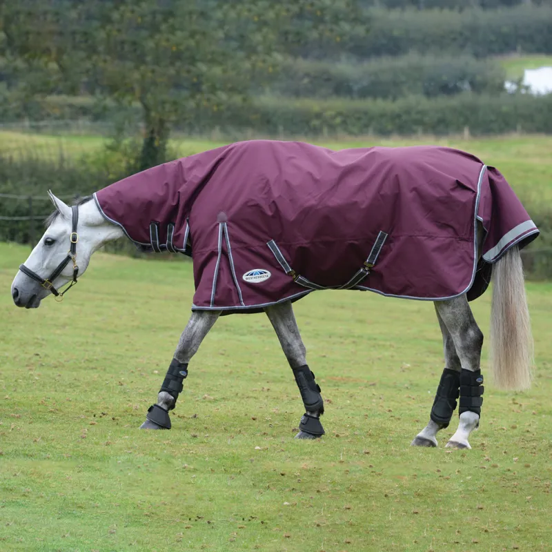WeatherBeeta ComFiTec Plus Dynamic II 100g Combo Turnout Rug - Maroon