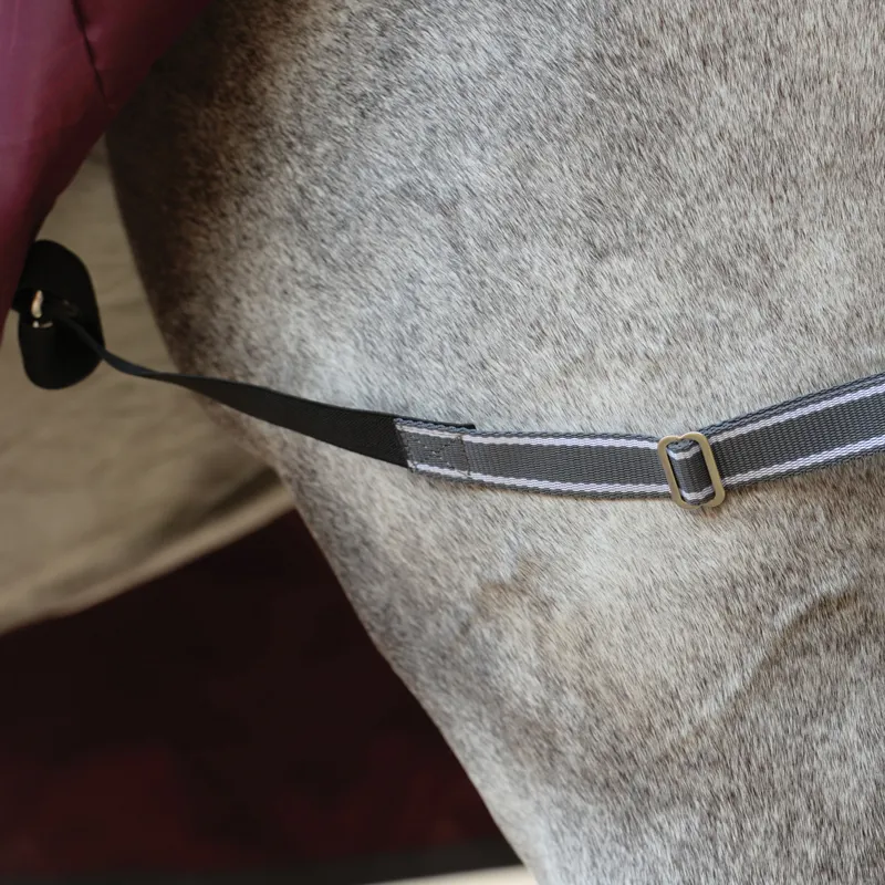 WeatherBeeta ComFiTec Plus Dynamic II 0g Combo Turnout Rug - Maroon-5