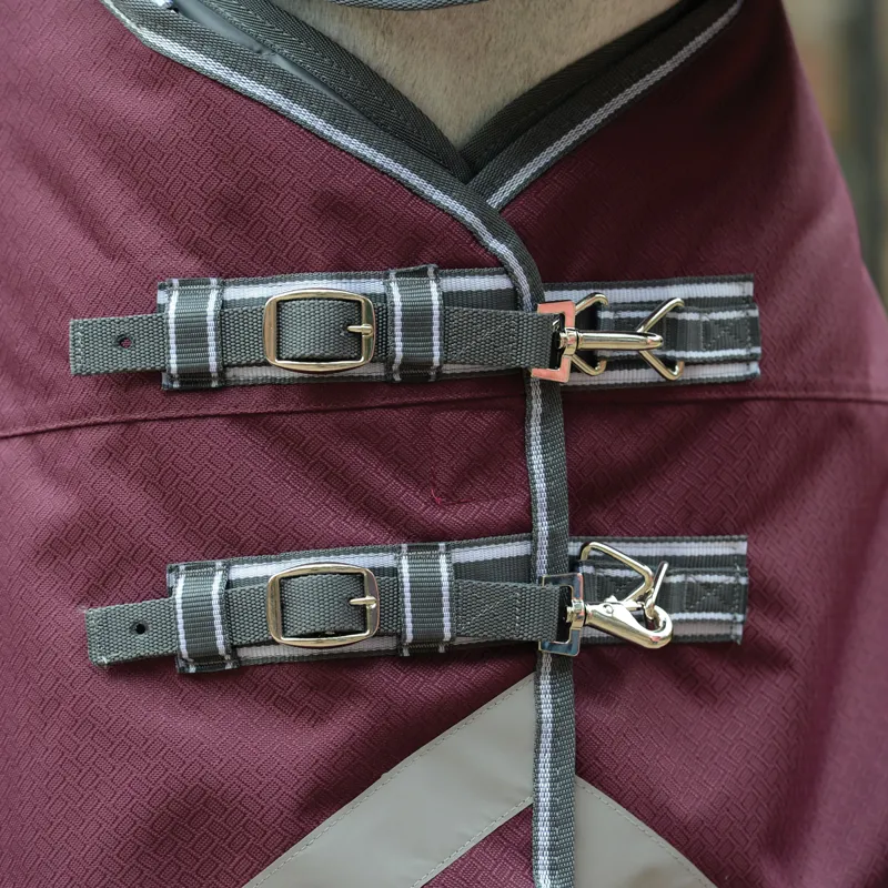WeatherBeeta ComFiTec Plus Dynamic II 220g Turnout Rug - Maroon/Grey-6