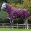 WeatherBeeta ComFiTec Plus Dynamic II 220g Detach A Neck Rug - Maroon