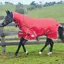 WeatherBeeta ComFiTec Classic 100g Combo Neck Turnout Rug - Red/Silver