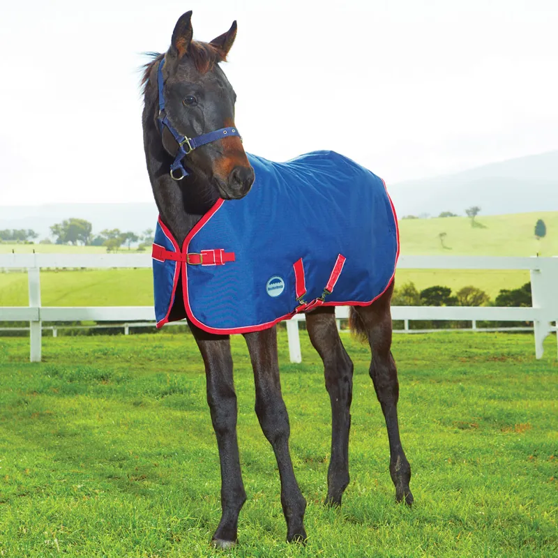 WeatherBeeta Original 1200D 220g Foal Turnout Rug - Navy/Red/White