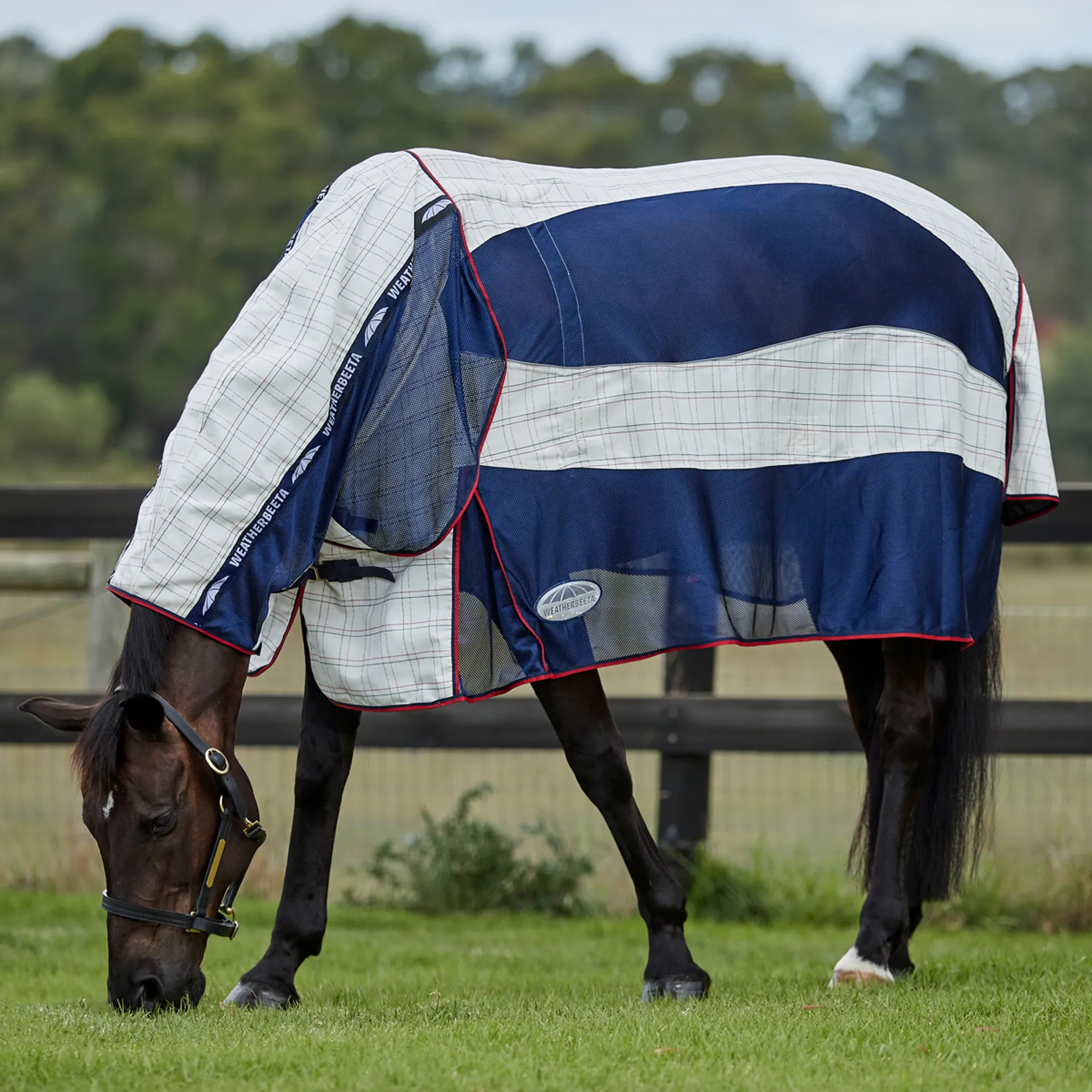 Weatherbeeta - Lot de 4 bandages polaires marbrés - GS Equestrian