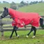WeatherBeeta ComFiTec Classic 300g Combo Neck Turnout Rug - Red/Silver