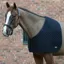 WeatherBeeta Deluxe Shoulder Guard - Black