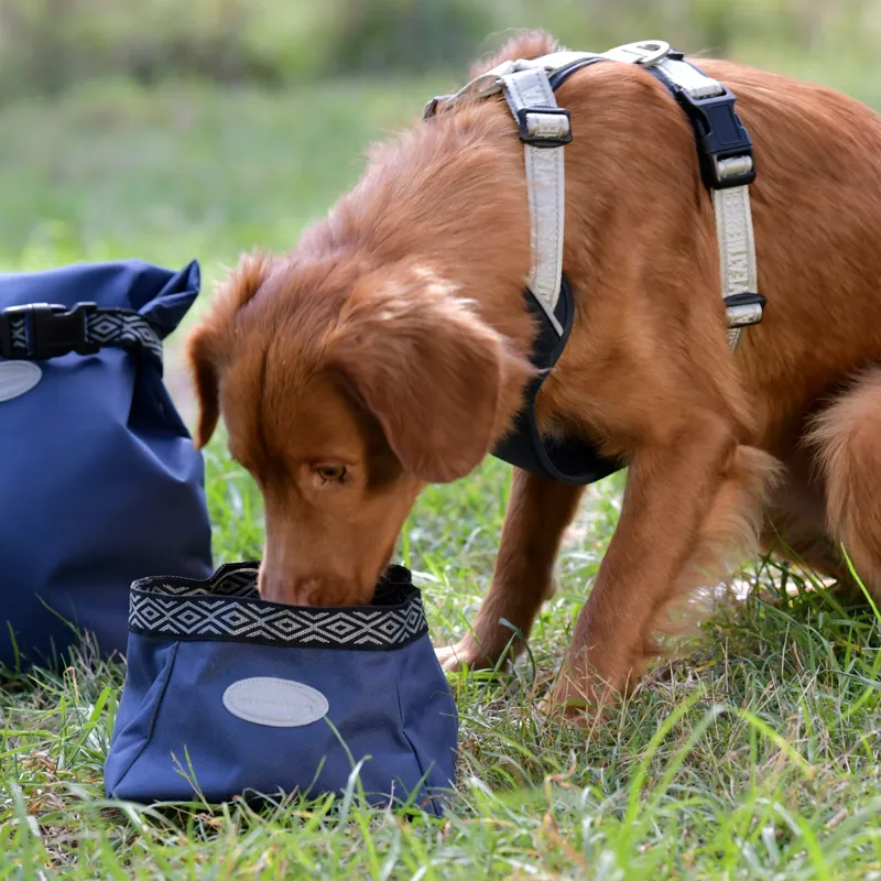WeatherBeeta Explorer Dog Water/Feed Travel Bowl - Navy-1
