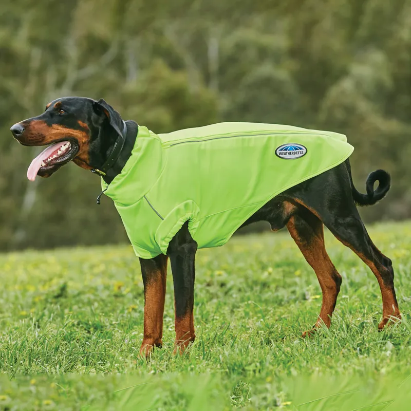 WeatherBeeta ComFiTec Active Dog Coat Yellow
