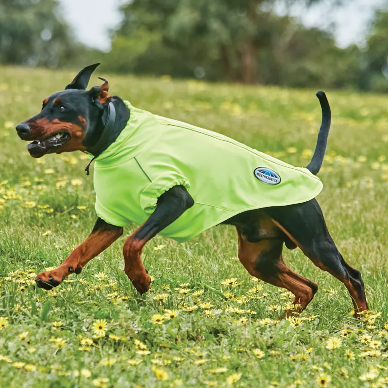 WeatherBeeta ComFiTec Active Dog Coat Yellow