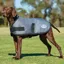 WeatherBeeta ComFiTec Classic Dog Coat - Dark Grey
