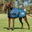 WeatherBeeta ComFiTec Classic Dog Coat - Dark Blue