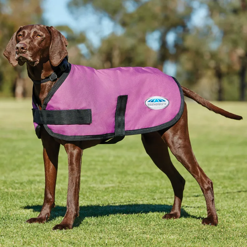 WeatherBeeta ComFiTec Classic Dog Coat - Pink