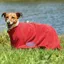 WeatherBeeta ComFiTec Dry Dog Bag - Red
