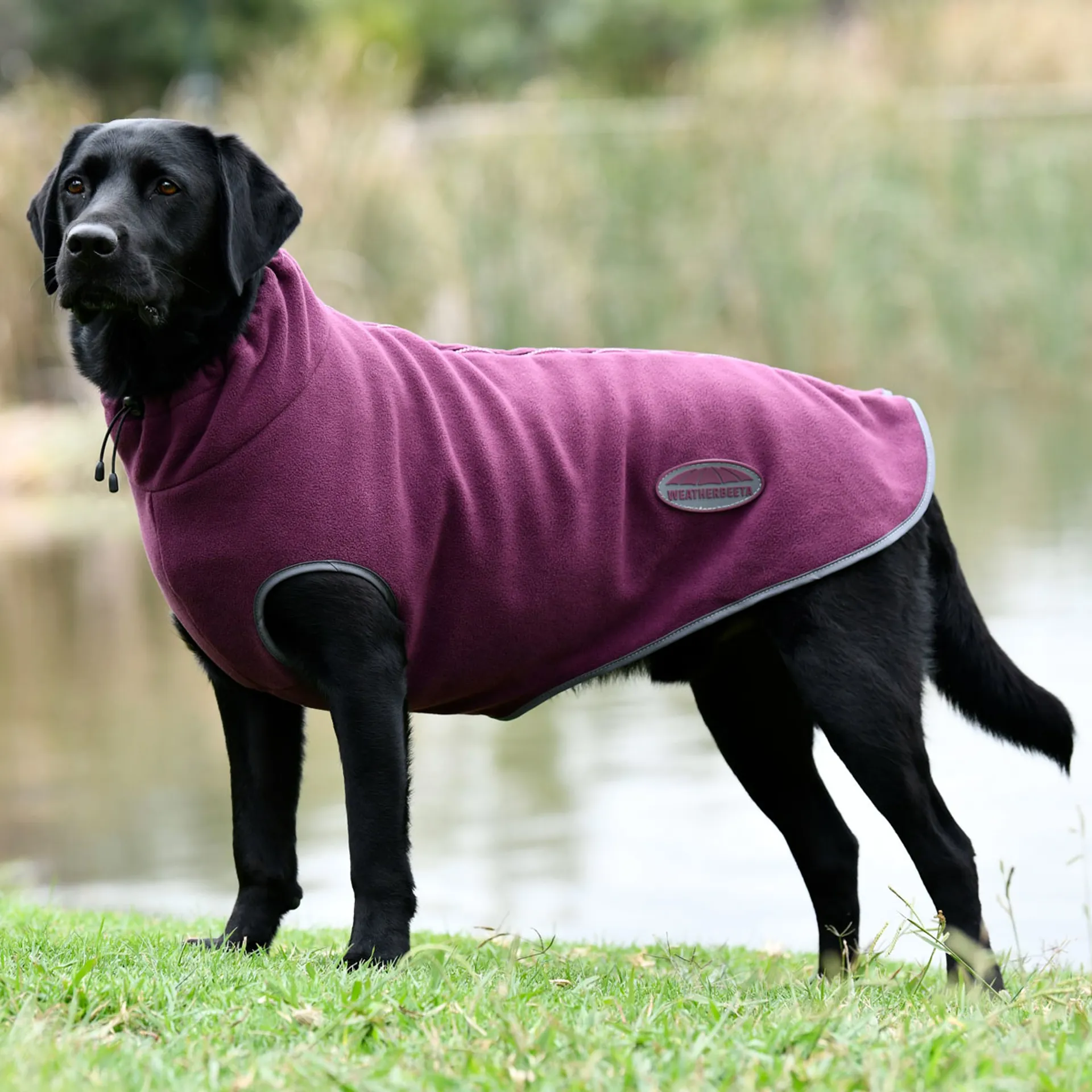 WeatherBeeta ComFiTec Fleece Zip Dog Coat Maroon/Grey
