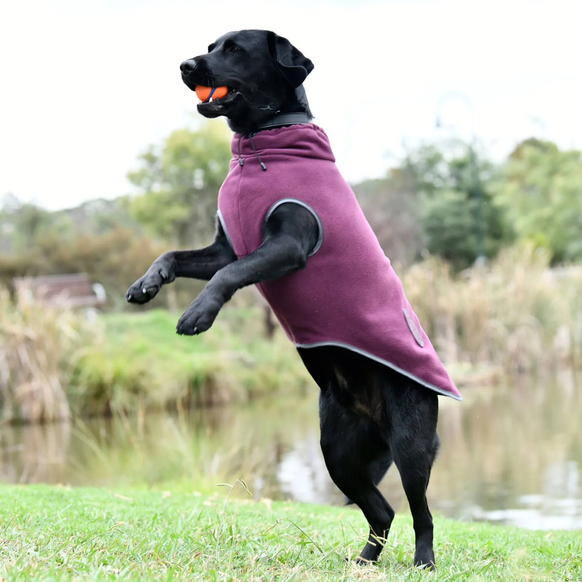 WeatherBeeta ComFiTec Fleece Zip Dog Coat Maroon/Grey